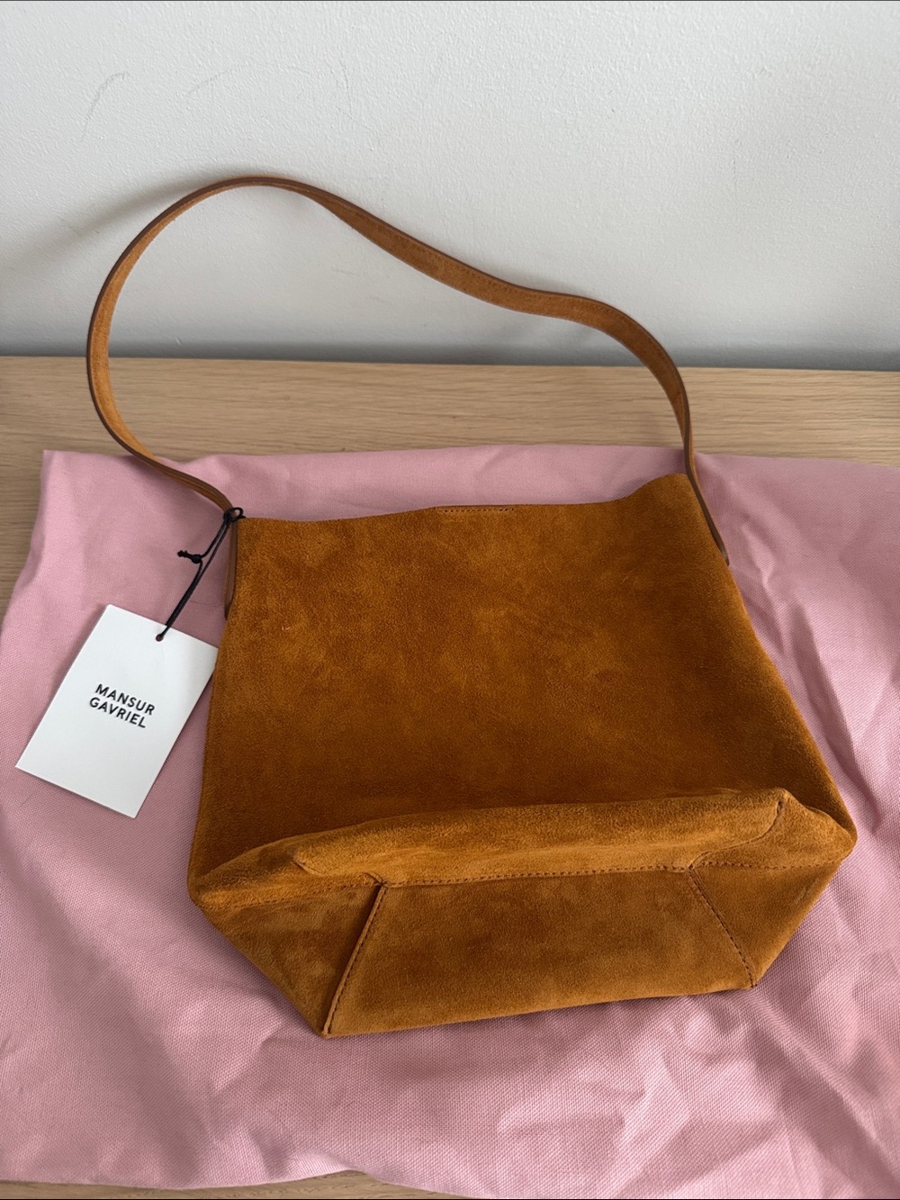 NWT Mansur Gavriel small everyday cabas